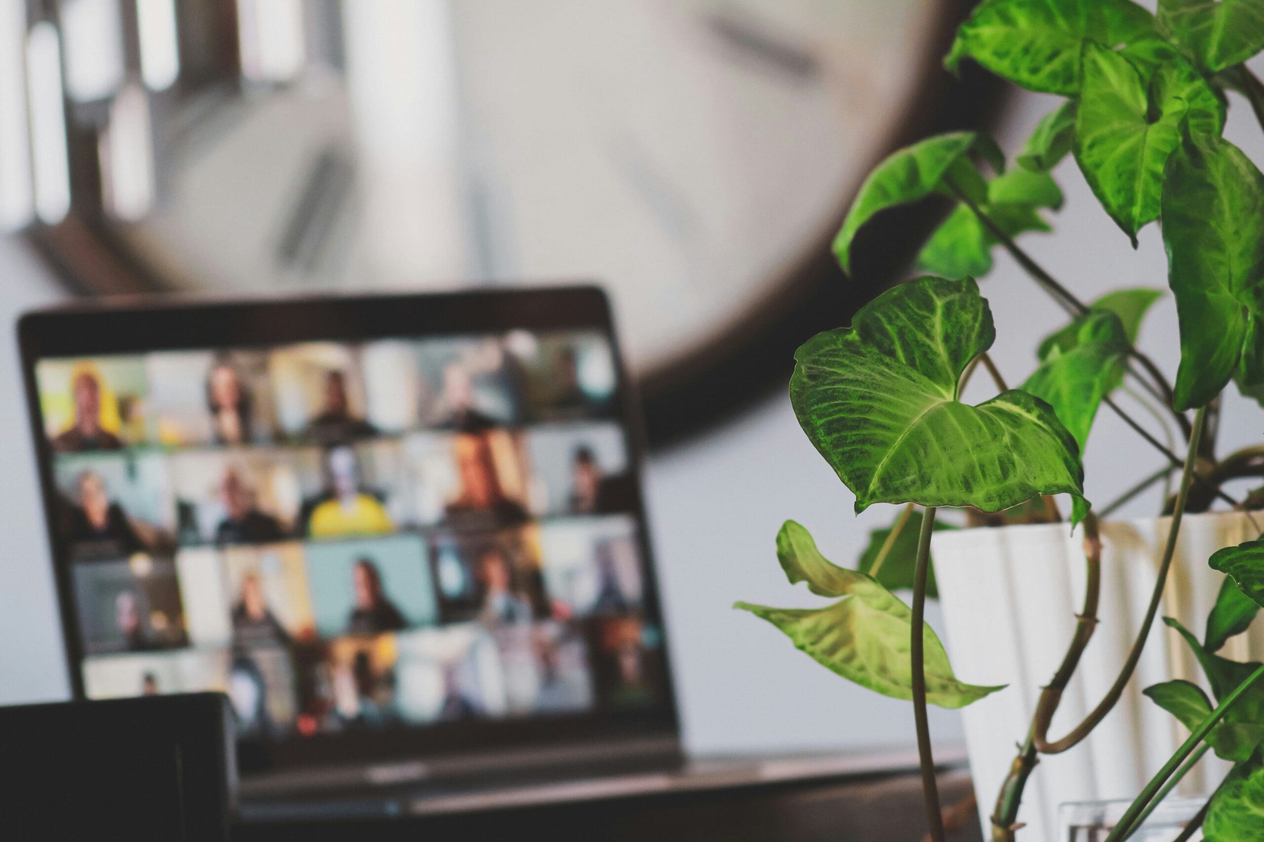 A green potted plant sits in the foreground, with a laptop showing a video conference call and a large wall clock blurred in the background.
